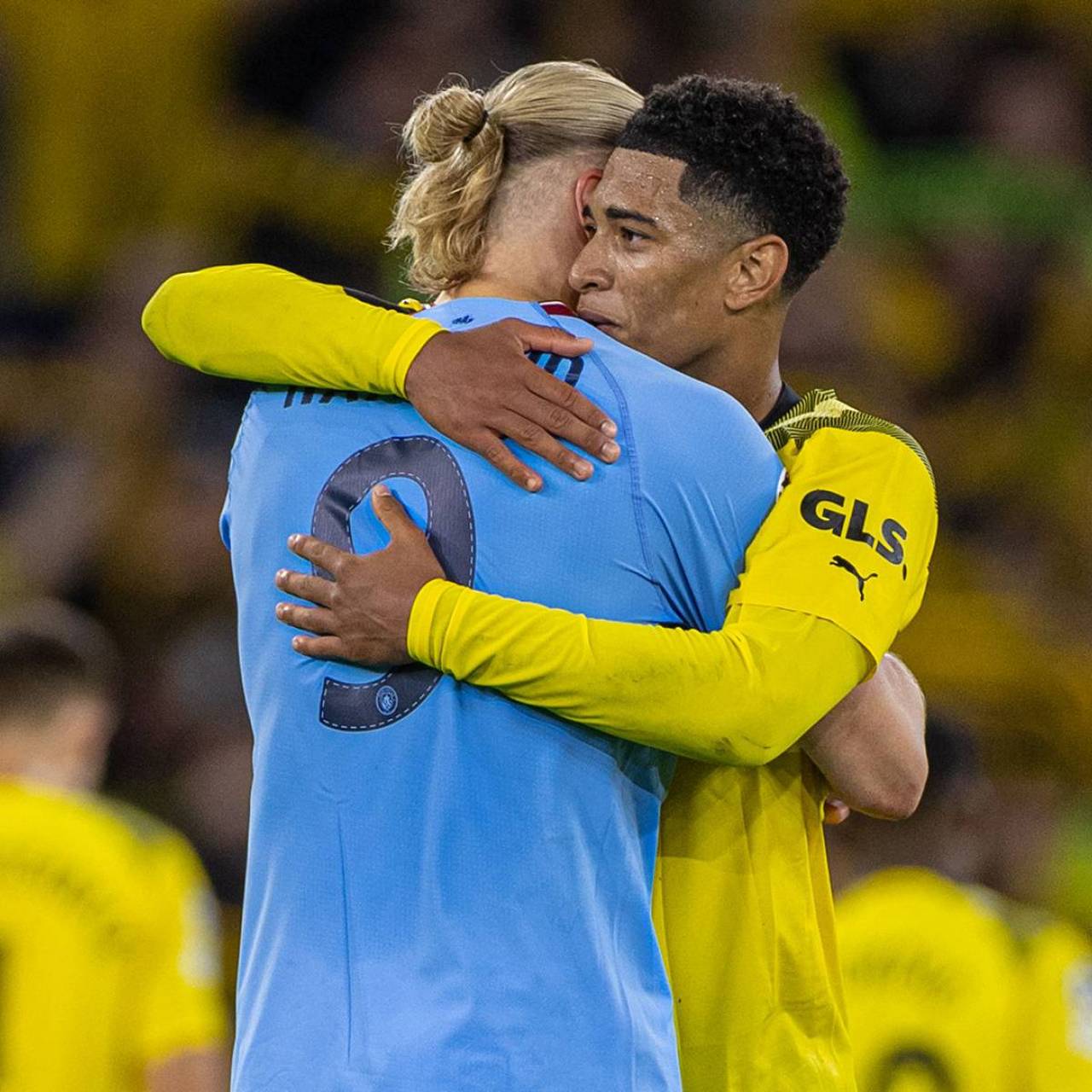 嘲讽没有咬 嘲讽没有咬